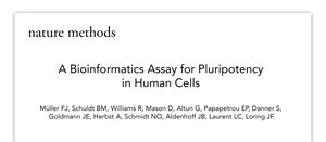 Bioinformatic Assay for Pluripotency in Human Cells.