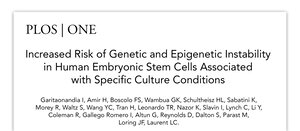 Increased Risk of Genetic and Epigenetic Instability in Human Embryonic Stem Cells Associated with Specific Culture Conditions.