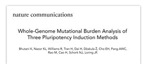 Whole-Genome Mutational Burden Analysis of Three Pluripotency Induction Methods.