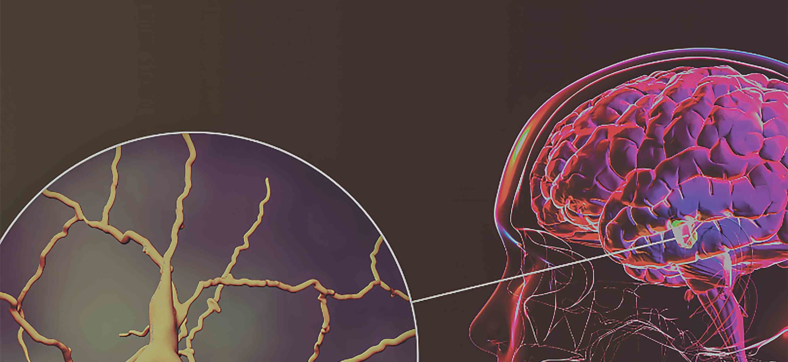 Aspen Technology Brain