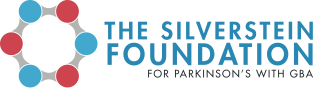 The Silverstein Foundation Logo